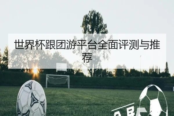 世界杯跟团游平台全面评测与推荐