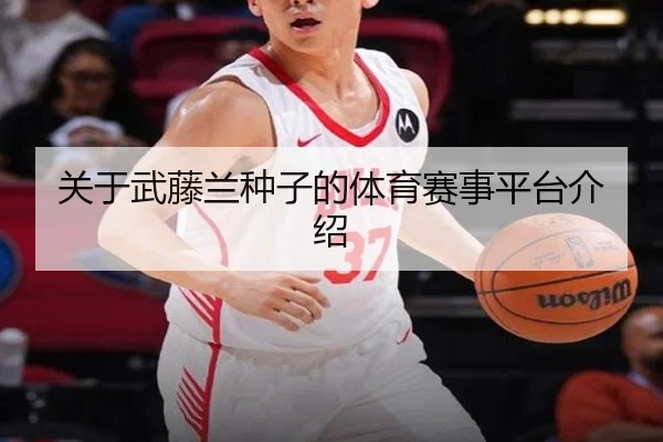 关于武藤兰种子的体育赛事平台介绍