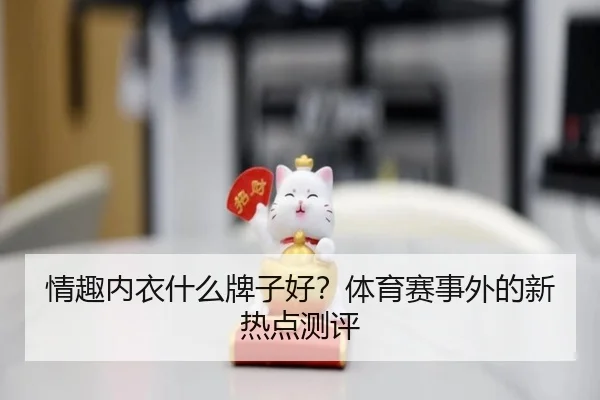 情趣内衣什么牌子好？体育赛事外的新热点测评