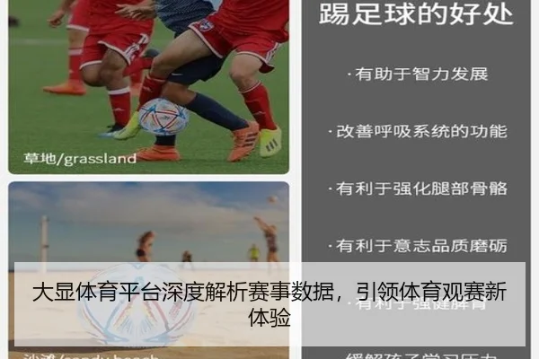 大显体育平台深度解析赛事数据，引领体育观赛新体验