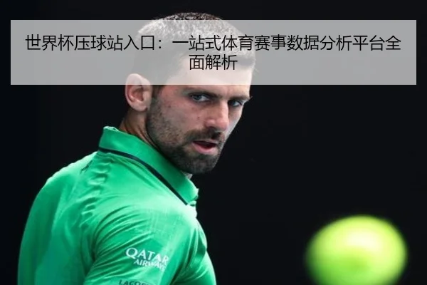 世界杯压球站入口：一站式体育赛事数据分析平台全面解析