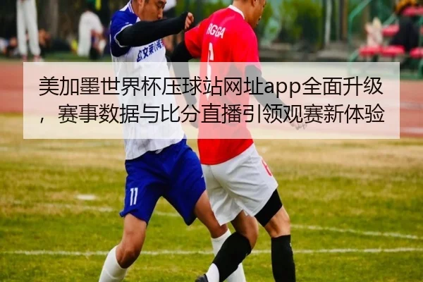 美加墨世界杯压球站网址app全面升级，赛事数据与比分直播引领观赛新体验