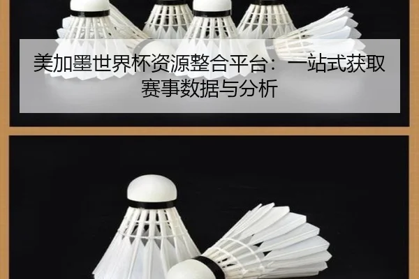 美加墨世界杯资源整合平台：一站式获取赛事数据与分析